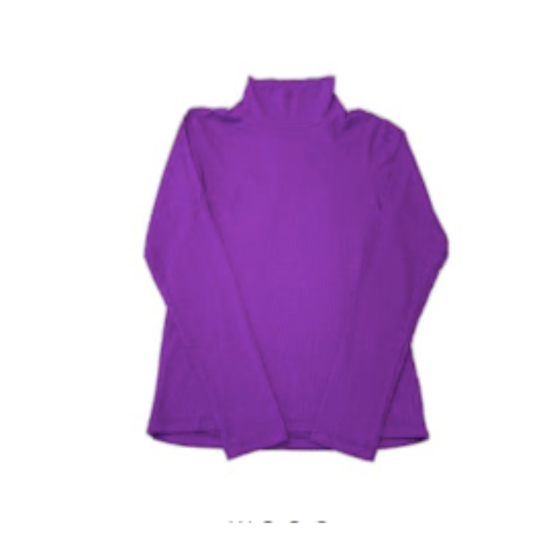 Camiseta Visco Manga Longa Roxa